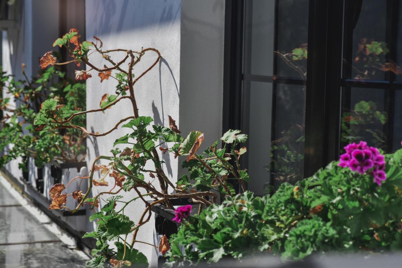 Atelier Boutique Hotel Shkodër 外观 照片